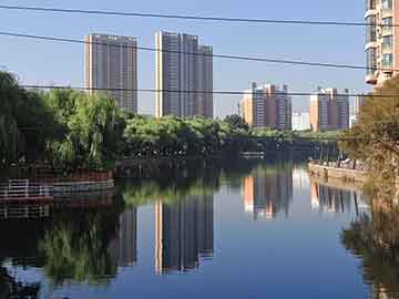 新北綠黨團提5大專案報告 要求新北市府面對民意監督